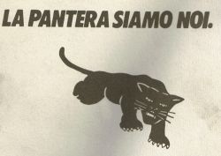 logo_pantera1