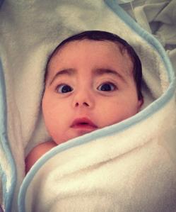 1503290_10152085712818429_803803905_n