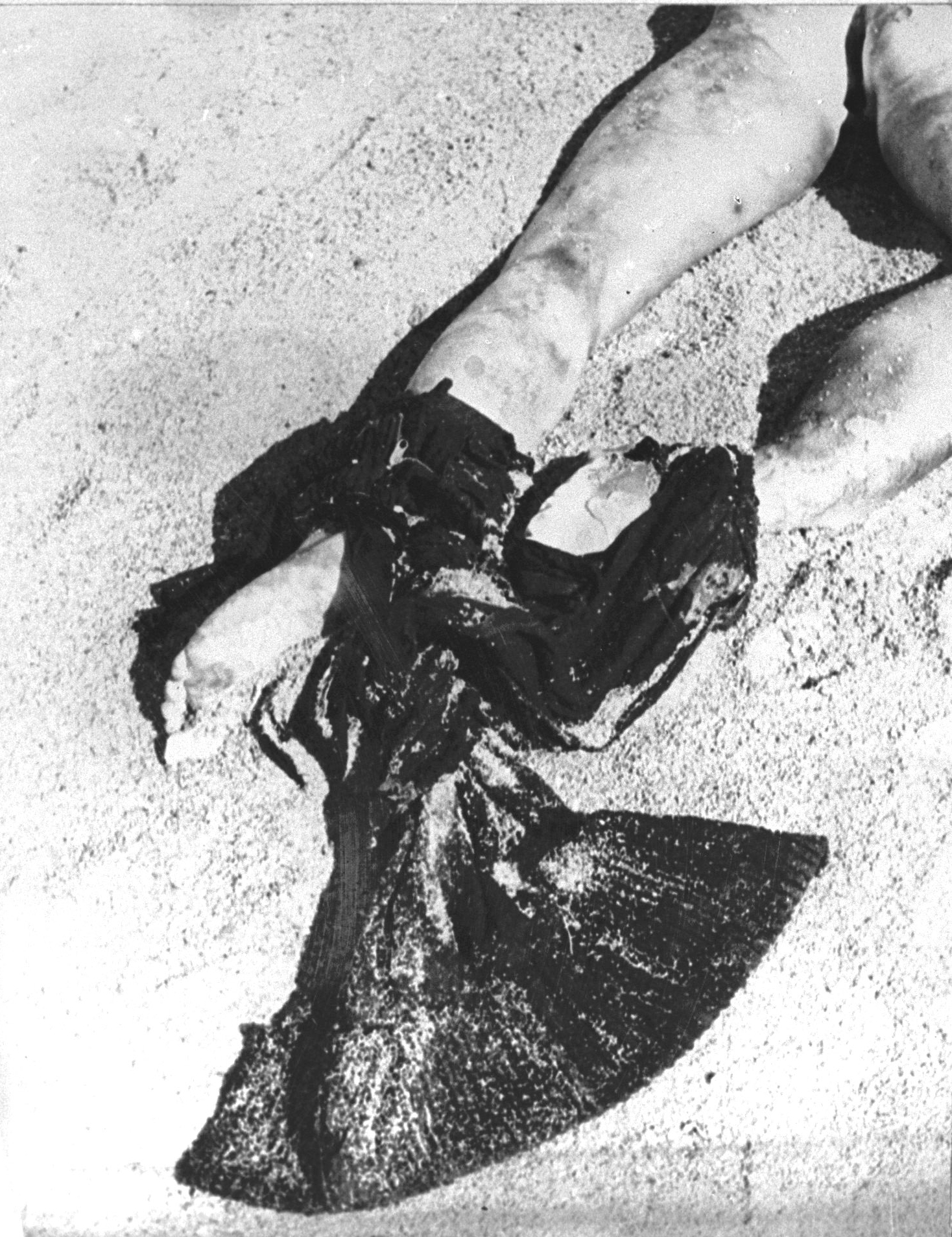 12-5 pág 224 copia